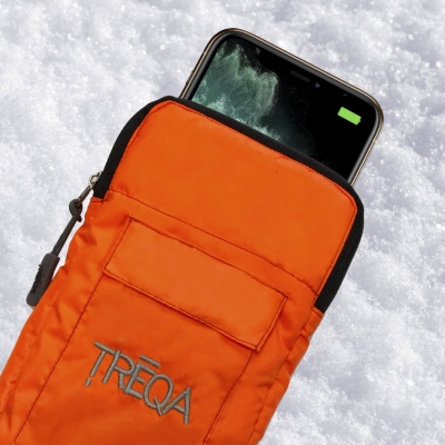 Polar Phone Case